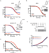 Figure 4:  PTEN loss is not responsible for GDC-0941 resistance, but does enhance resistance due to secretion of  AREG. 