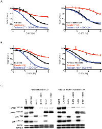 Figure 5:  GDC-0941 resistant clones are sensitive to inhibitors of the MAPK pathway in the presence of GDC-0941. 