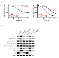 Figure 4:  Characterization of cells resistant to both letrozole and taselisib. 