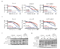 Figure 5:  Dual resistant cells are still sensitive to taselisib in combination with docetaxel or CDK4/6 inhibition. 