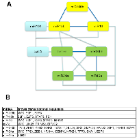 Figure 3:  Concomitant changes in miRNA expression in individual patients. 