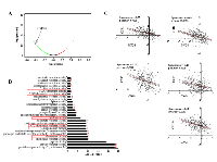 Figure 3:  CXCR4 is a potential GPCR regulated by GNG4. 