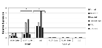 Figure 3:  Chromatin immunoprecipitation to verify the binding activity of ER to the putative ERE sequences in  OCT4 transcription site (OCT4 -1999 and OCT4 -3544) after treatment with E2 or BPA with or without melatonin in  mammospheres. 