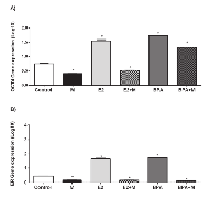 Figure 4:  Analysis of OCT4 and ER gene expression after treatment with melatonin, E2 and BPA. 