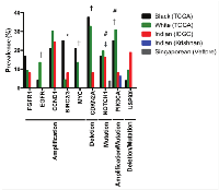 Figure 3:  Prevalence of key genetic aberrations in 24 black and 208 white HPV-negative patients (TCGA HNSCC  cohort), 37 HPV-negative Indian patients (ICGC HNSCC cohort), 16 Indian HPV-negative patients (Krishnan cohort),  and 60 patients from Singapore of unidentified HPV status (Vettore cohort) [1, 16-18]. 