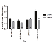 Figure 5:  Copy number alterations in black and white patients in the TCGA HNSCC cohort. 