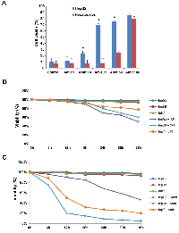 Figure 8:  Effect of Amitriptyline on human hepatocytes and p53 -/- cell lines. 