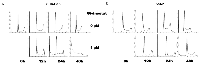 Figure 2:  Induction of apoptosis by Givinostat on leukemia cell lines. 