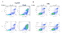 Figure 3: Pro-apoptosis of Givinostat on leukemia cells. 