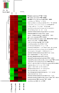 Figure 1: Differentially expressed genes detected in the trophozoite stage of the P. 