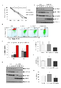 Figure 1: AP induces intrinsic apoptosis in MCF-7 cells and reduces tumour burden in MCF-7 xenograft models. 