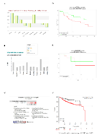 Figure 5:  CETP  expression analysis in BC cell lines and patients. 