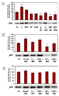 Figure 2:  (A-C). 