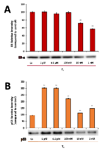 Figure 3:  (A-B). 