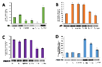 Figure 4:  (A-D). 