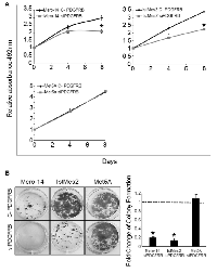 Figure 2:  Role of PDGFRB in cellular growth. 