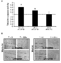 Figure 3:  A. 