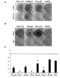 Figure 6:  Role of PDGFRB in cellular growth, following treatment with crenolanib, and imatinib. 