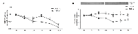 Figure 3:  STEAP1 mRNA and protein stability in human prostate cell lines. 