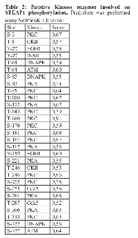 Table 2:  Putative Kinases enzymes involved on  STEAP1 phosphorylation.  