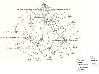 Figure 4: Molecular networks identified by Ingenuity Pathway Analysis (IPA). 