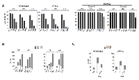 Figure 1: DHA induces apoptosis in MM cells and does not affect PBMC viability. 