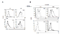 Figure 5:  DHA-triggered immunogenic apoptosis in MM cells activates DCs. 