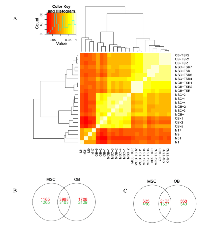 Figure 4:  Gene expression differences between transformed cell lines, untransformed cell lines, and osteosarcoma  xenografts. 