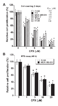 Figure 1: CPX inhibits cell proliferation in tumor cells. 