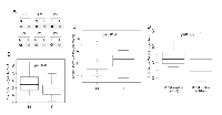 Figure 2:  Comparison of 5mC and 5hmC scores between neoplastic and non-neoplastic regions. 