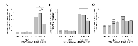 Figure 4:  Effect of TET1  siRNA treatment. 