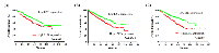 Figure 3:  Kaplan-Meier survival curves for OS in KIRC patients stratified by median of E2F1, E2F2 and E2F3. 