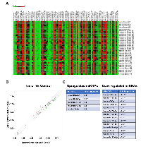 Figure 1: Expression analysis of miRNAs in FFPE samples from endometrial cancer patients. 