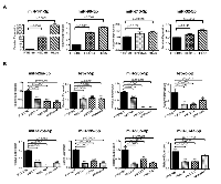 Figure 2:  Expression analysis of miRNAs in endometrial cancer cell lines. 