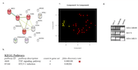 Figure 4: Genes identified when TNBC-25 compared to the 8 other TNBC. 