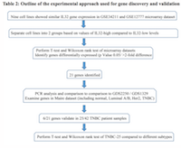 Table 2:  Outline of the experimental approach used for gene discovery and validation 