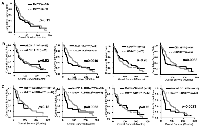 Figure 3: Co-expression of c-Met with ALDH1A3 or CD133 contributes to poor prognosis in breast cancer patients at  tumor stage III-IV. 