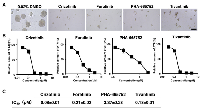Figure 6:  c-Met inhibitors suppressed tumor-sphere formation of ALDH1high breast cancer cells. 
