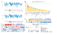 Figure 1: Bioinformatic analyses of PJA1, PJA2 and Smad3 genetic alterations in brain tumors from the databases of  The Cancer Genome Atlas. 