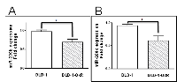 Figure 3:  Expression of miR-200b and miR-200c in DLD-1 and DLD-1-OxR cells were decreased compared to DLD-1  parental cells. 