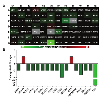 Figure 4:  SIRT6 knockdown significantly alters autophagy-related genes in A375 melanoma cells. 