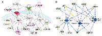 Figure 5:  SIRT6 modulated autophagy-related genes appear to be involved in cancer and are predicted to play roles  in cell transformation, tumor invasion and movement of tumor cells. 