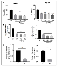 Figure 1: Effect of VJ on cell proliferation. 