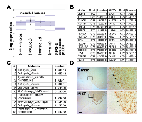 Figure 1: Geminin is highly expressed in human and mouse medulloblastoma. 