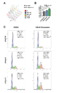 Figure  8:  Interference  with  Geminin  activity  acts  synergistically  with  the  topoisomerase  inhibitor  etoposide. 