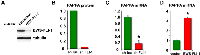 Figure 1: EWS-FLI-1 induces pappalysin-1 expression. 