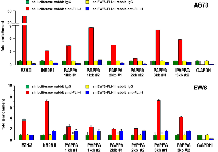 Figure 2:  EWS-FLI-1 binds to the pappalysin-1 gene promoter in Ewing sarcoma cells. 