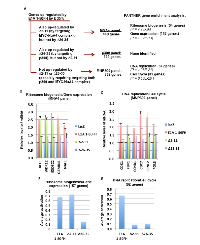 Figure 2:  E1A 1-80 activates three panels of genes by targeting the MYC-NuA4 complex and p300 separately and  cooperatively. 