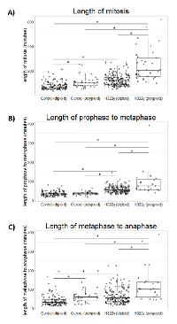 Figure 4:  14-3-3γ derived mononucleated tetraploid cells have a significantly prolonged mitoses. 