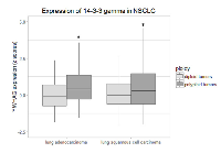 Figure 7:  14-3-3γ mRNA expression is elevated in lung samples predicted to be genome doubled. 